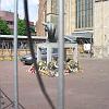 Afbeelding 043